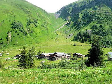 Col de Tricot from Miage