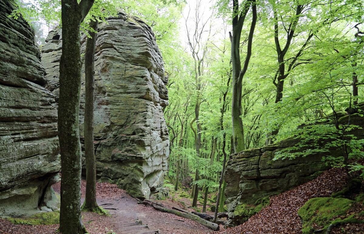 Rock formations near Berdorf, Mullerthal Trail