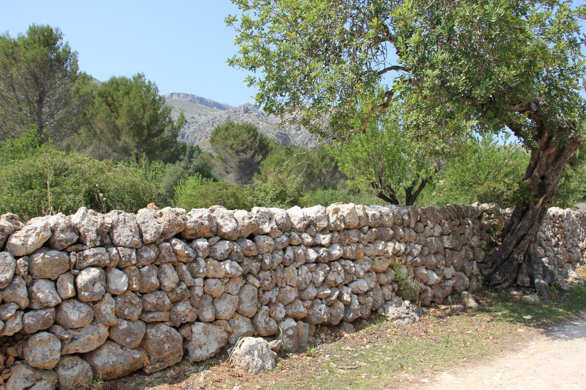 A typical dry stone wall on the GR221