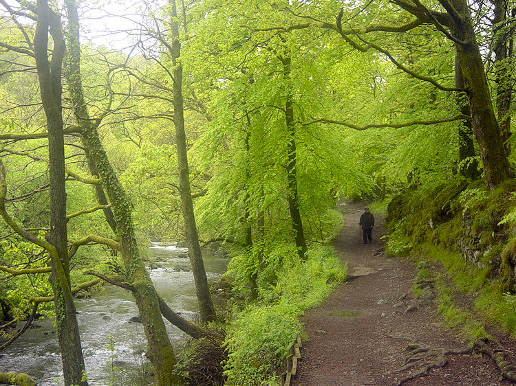 Path from Skelwith Bridge to Skelwith Force
