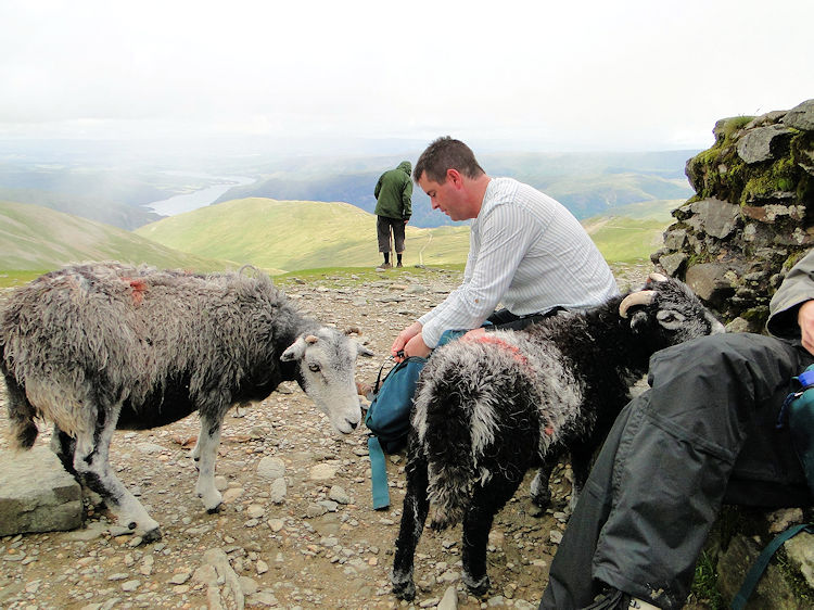 The thieves of Helvellyn