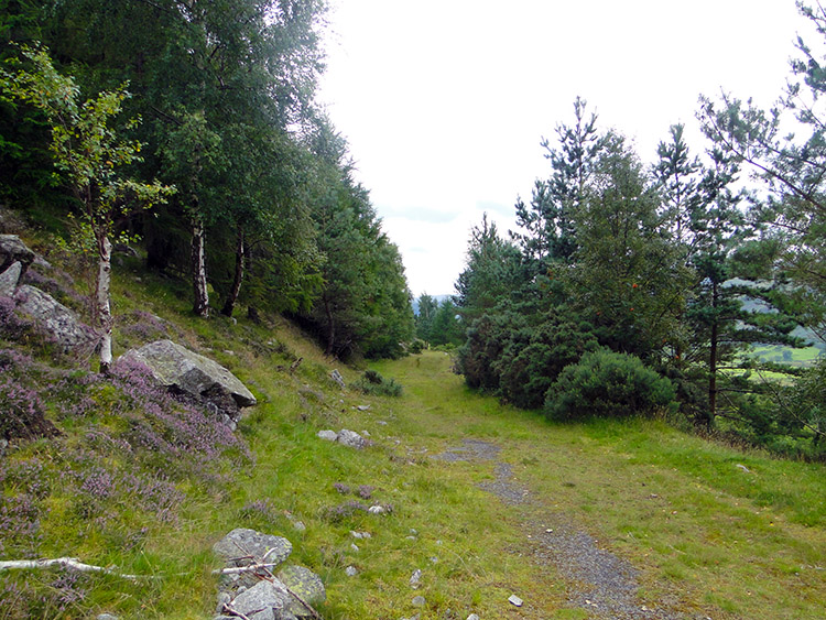The track to the disused Hilltop Quarries