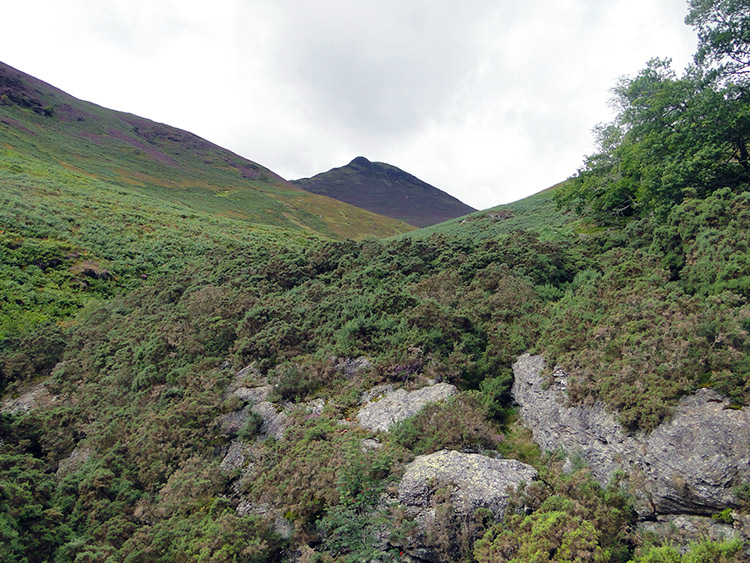 Causey Pike as seen from Stonecroft