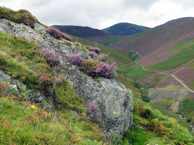 Looking up the Stonycroft Gill track to Stile End