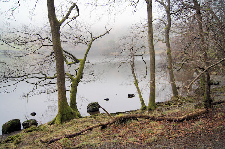 Looking back to Rydal Water at the end of the walk