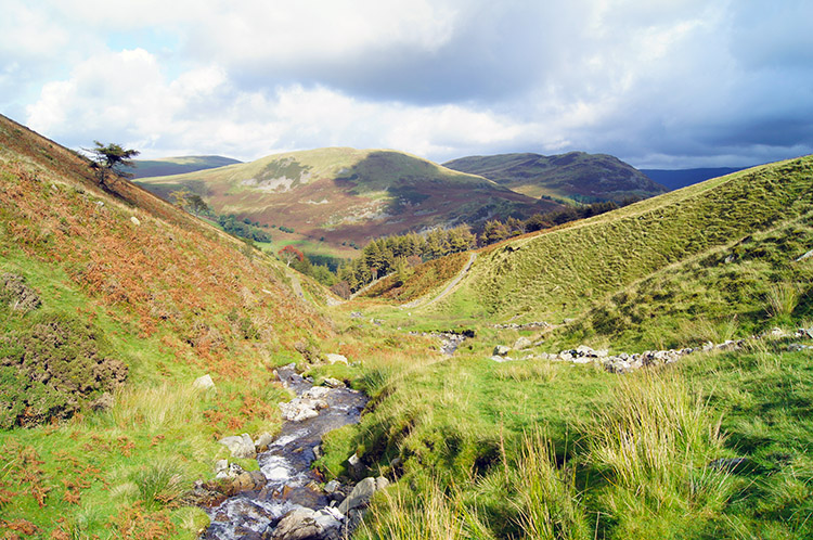 Looking down Holme Beck to Fellbarrow and Low Fell