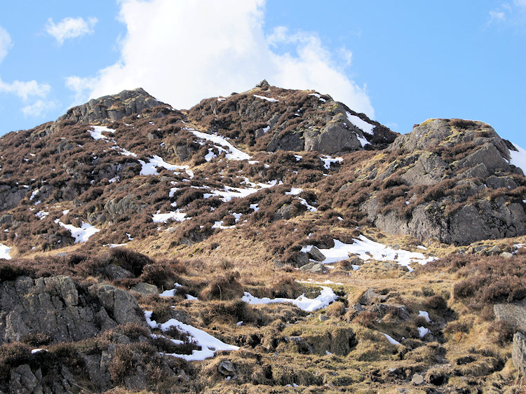 Looking up to the summit of Holme Fell