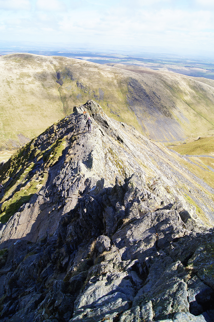 Sharp Edge