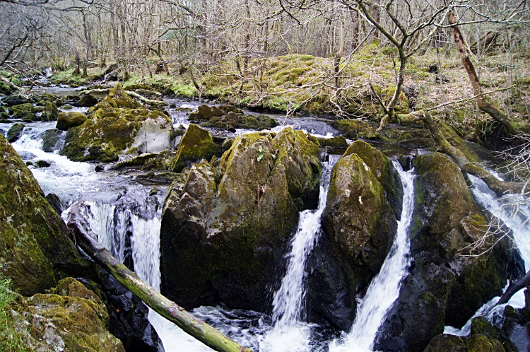 Cascades of the River Brathay