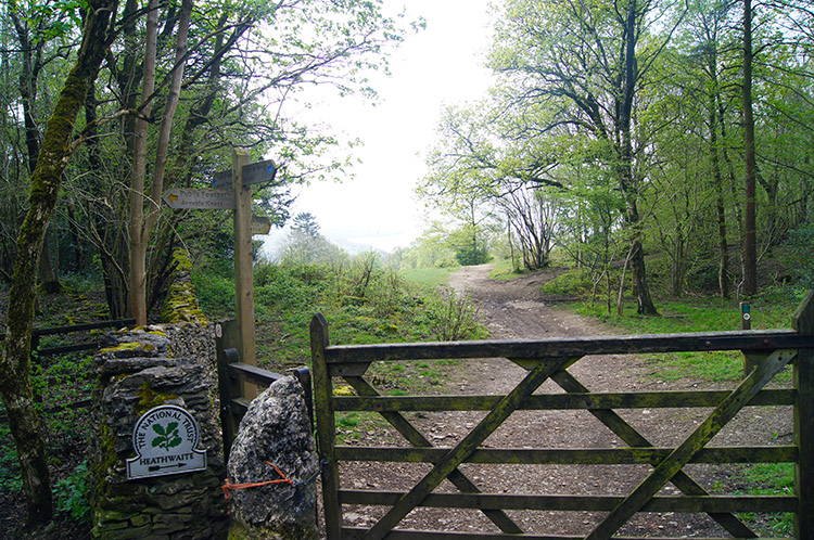 The path from Arnside Knott to Far Arnside