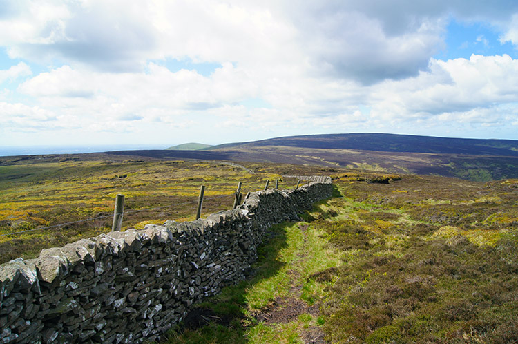 The upland path across the fell