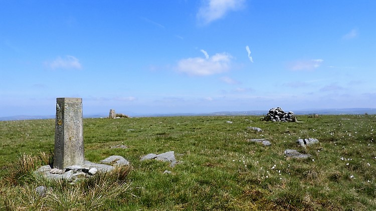 Top of Leach