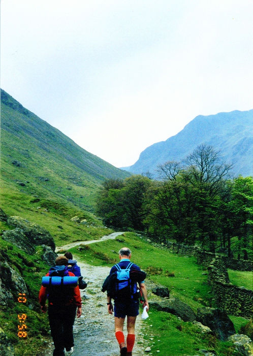 On the approach to Grisedale Forest