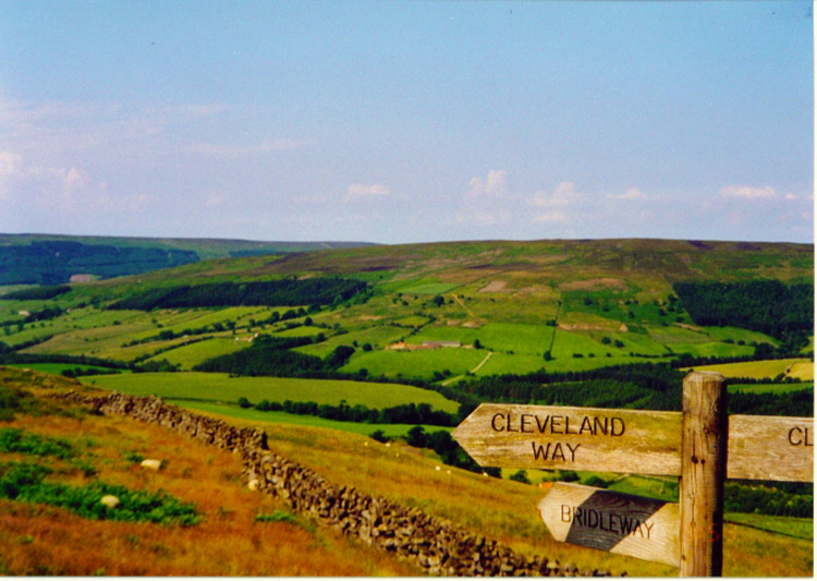 Today's start follows the Cleveland Way