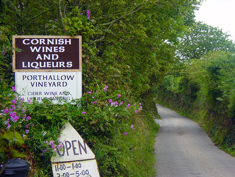 This vineyard can be found near Porthallow