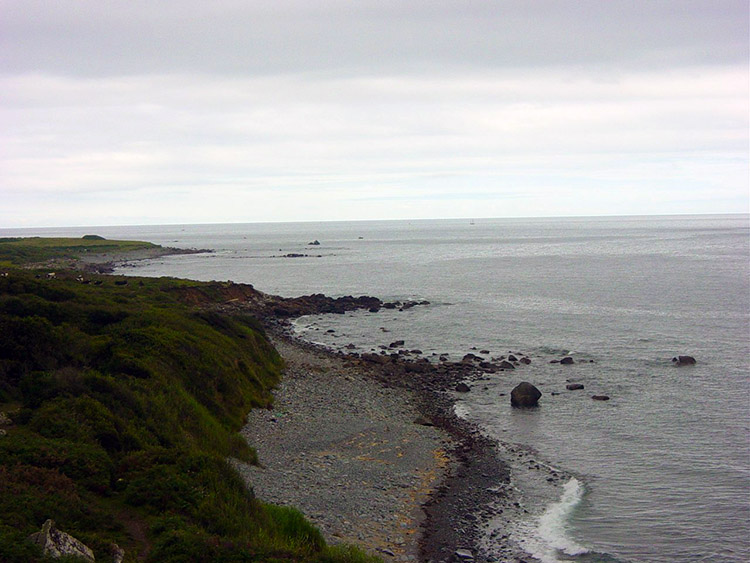 The coast near Coverack