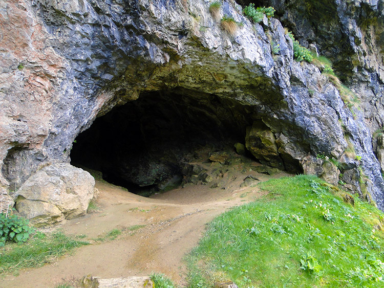 Bone Cave