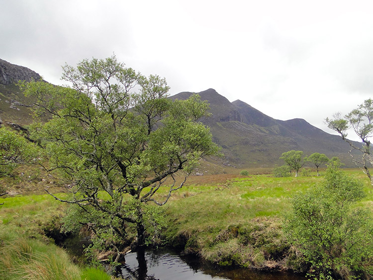 Beauty in the wilderness