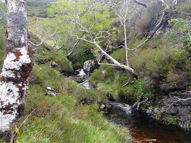 Difficult stream crossing near Loch An Doire Dhuibh