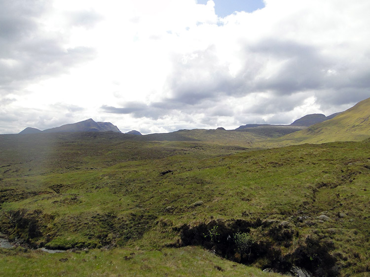 Kinlochewe Forest