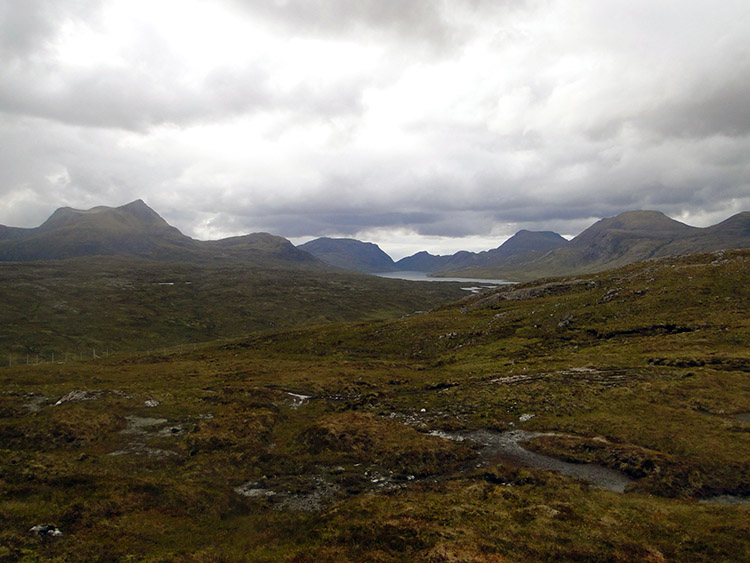 Kinlochewe Forest sapped my energy