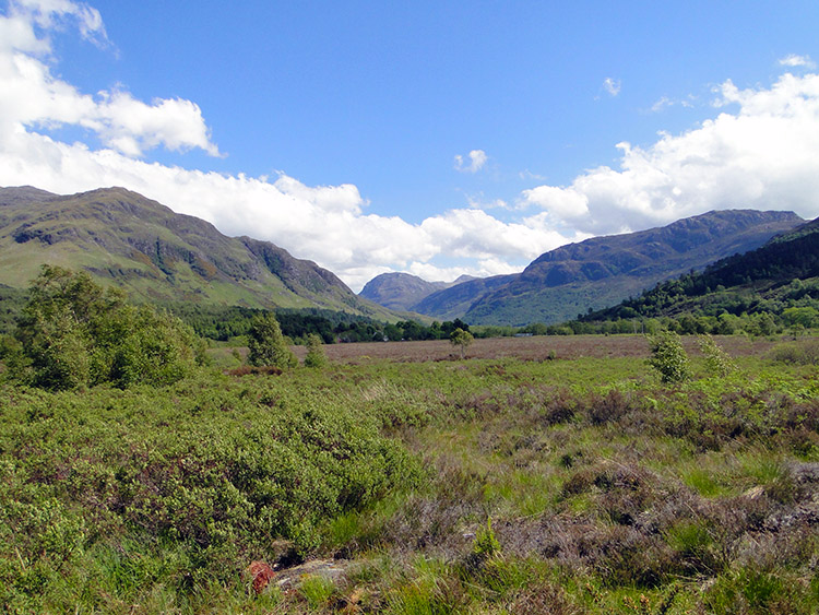 The view from Nonach Lodge to Glen Elchaig