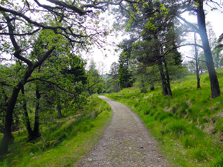 Leaving Rannoch Moor near Victoria Bridge