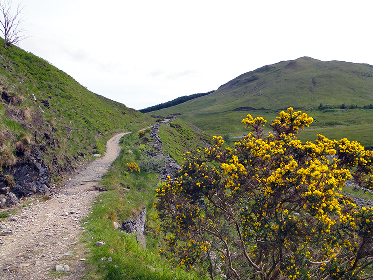 On the track towards Tyndrum