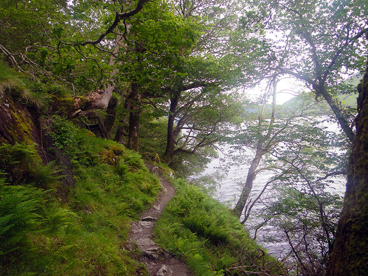 The narrow winding path beside Loch Lomond