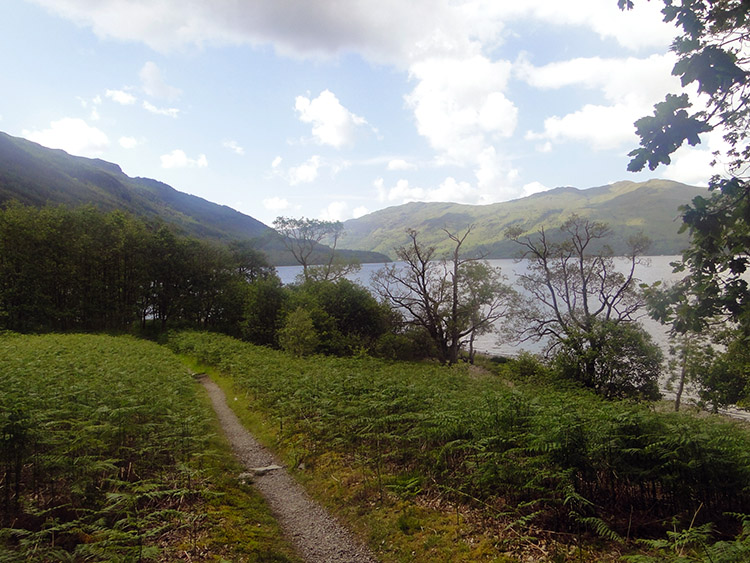 View of Loch Lomond looking south