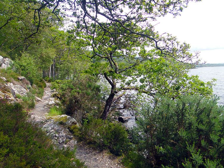 The path near Mill of Ross