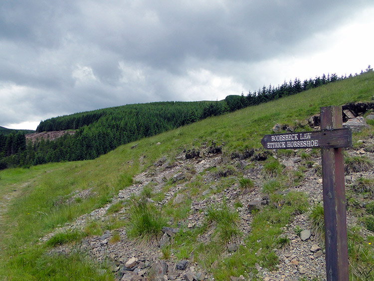 Sign to the Ettrick Horseshoe