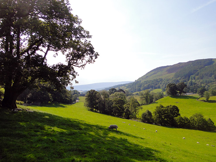 Beautiful Dentdale
