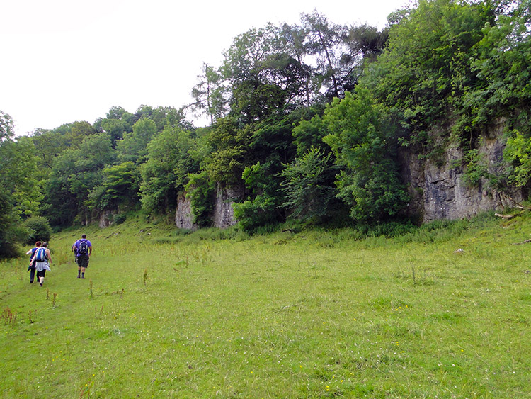 Limestone cliffs near Peter Dale