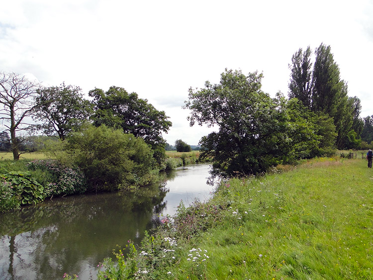 River Dove at Riverside Doveleys