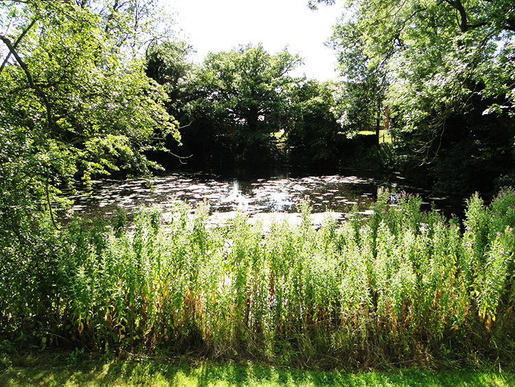 Pond at Balsall Lodge