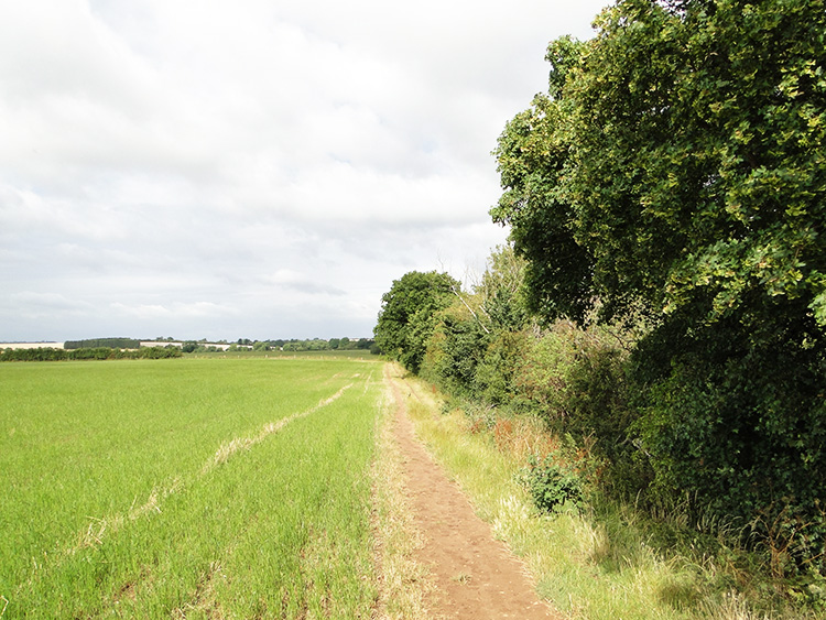 Following fields near Luddington