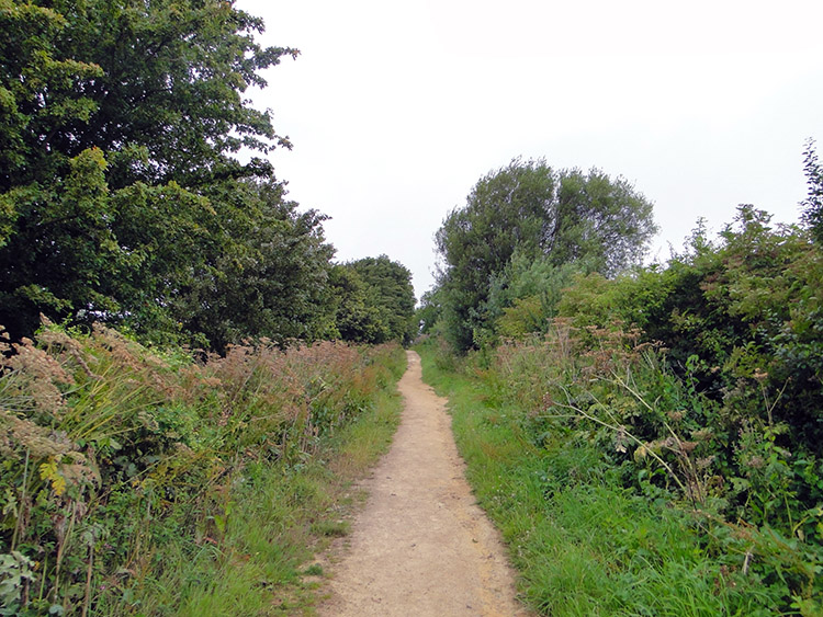 Hoo Lane on the Cotswold Way