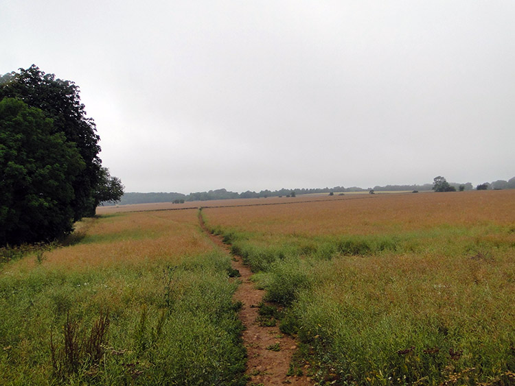 The Cotswold Way crossing Mile Drive