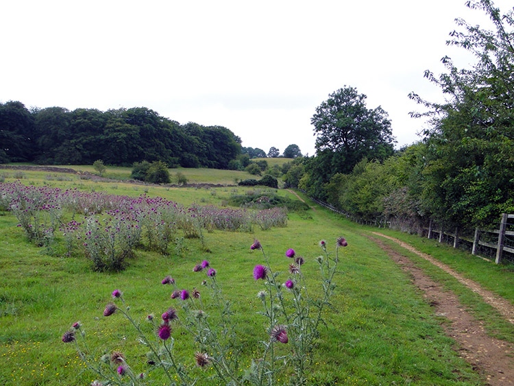 Climbing to Shenberrow Hill