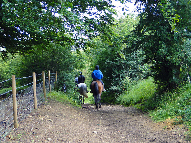 Horse riders on Shenberrow Hill
