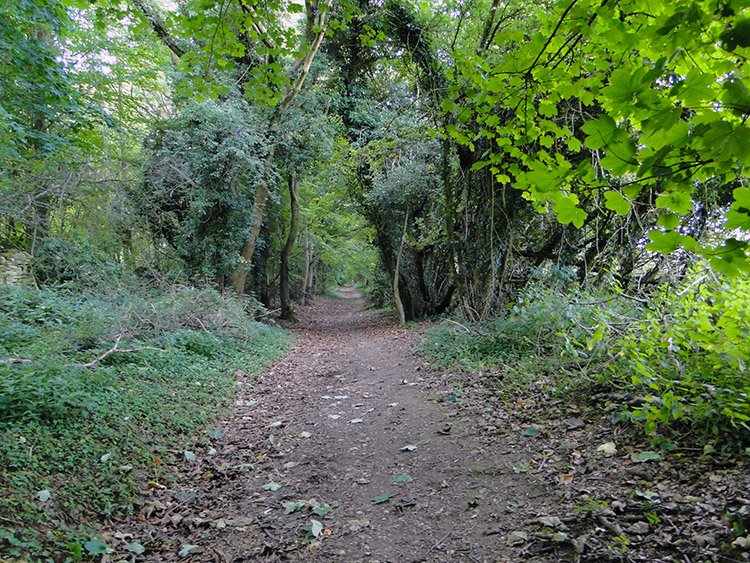 Country lane near Belas Knap