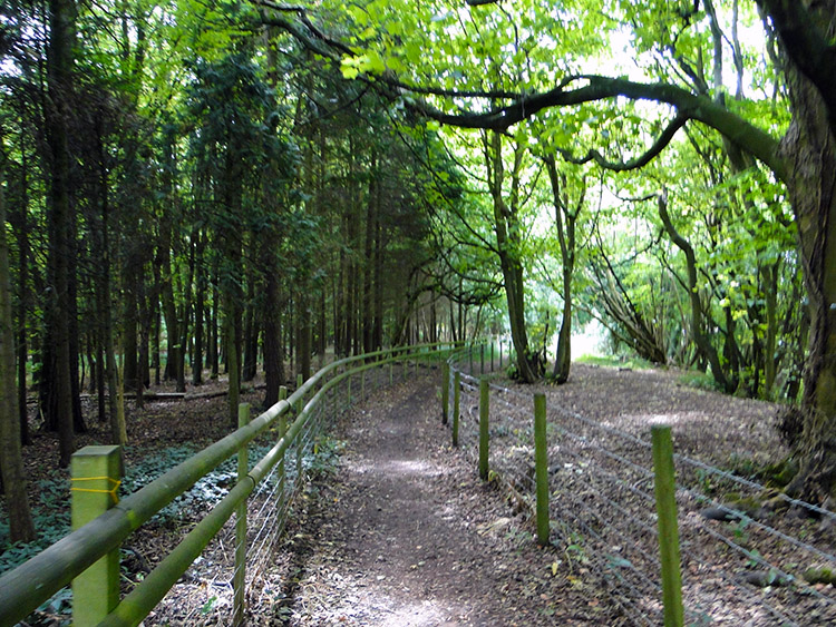 Dowdeswell Wood Nature Reserve