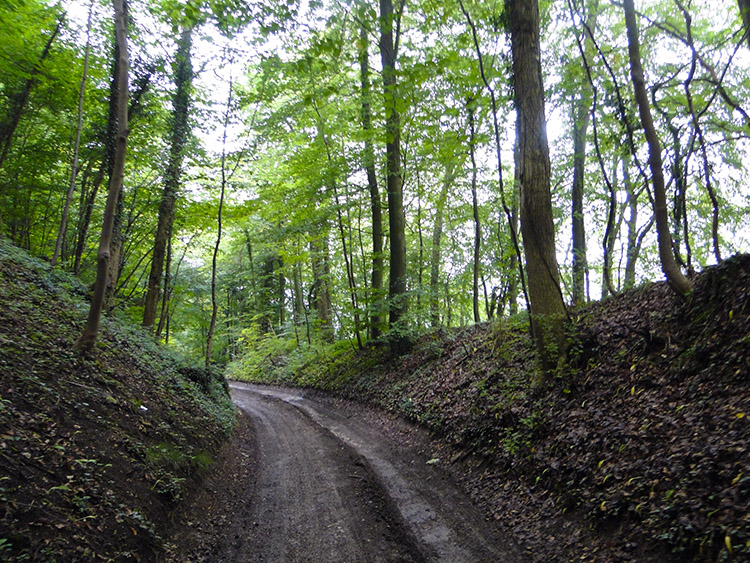 Holloway in Witcombe Wood