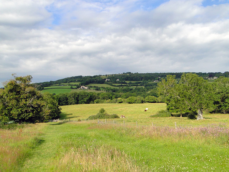 Countryside near Painswick