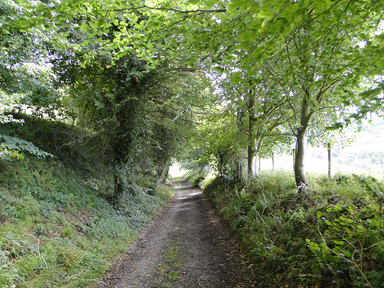 Country lane near Alderley