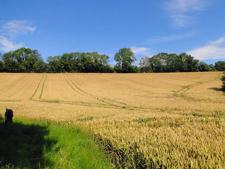 Near Dunkerton Bridge