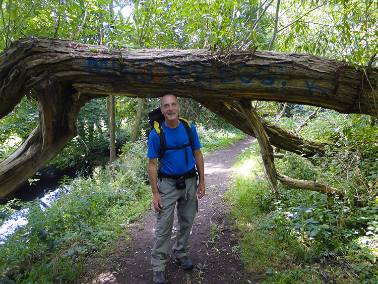 Natural Arch near Hallatrow