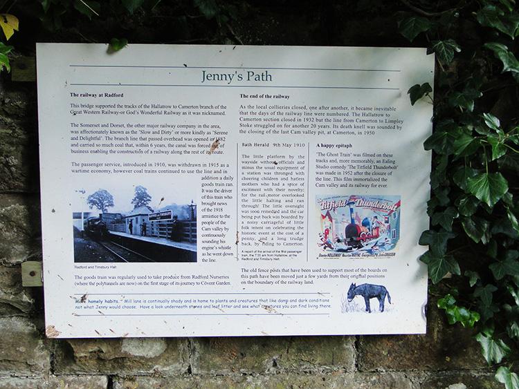 Jenny's Path