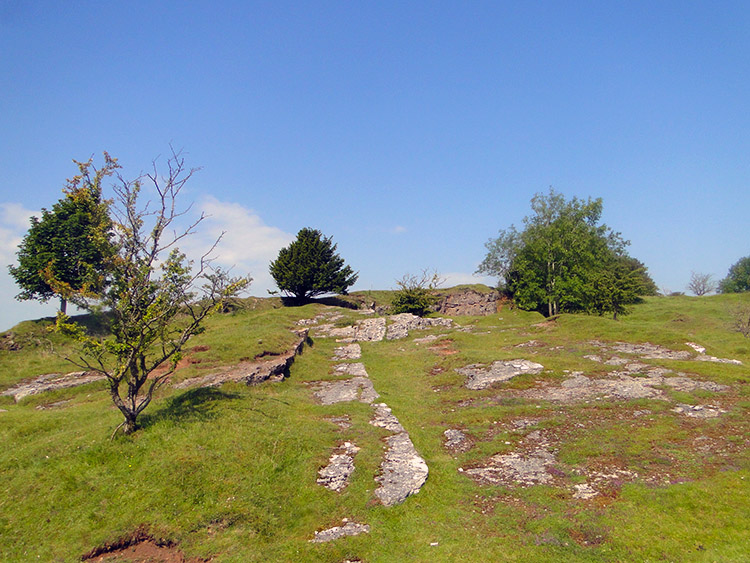 Blackmoor Nature Reserve